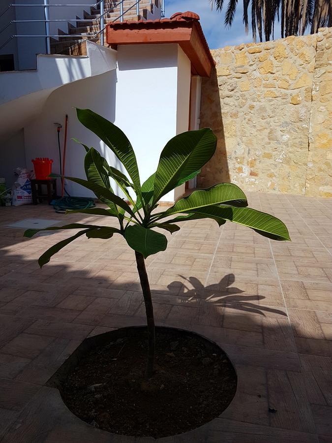 Aksaray Boutique Hotel Nicosia Eksteriør billede